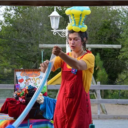 Camping Spacieux Mobil-home 3 Avec Terrasse - Api-1-52-790